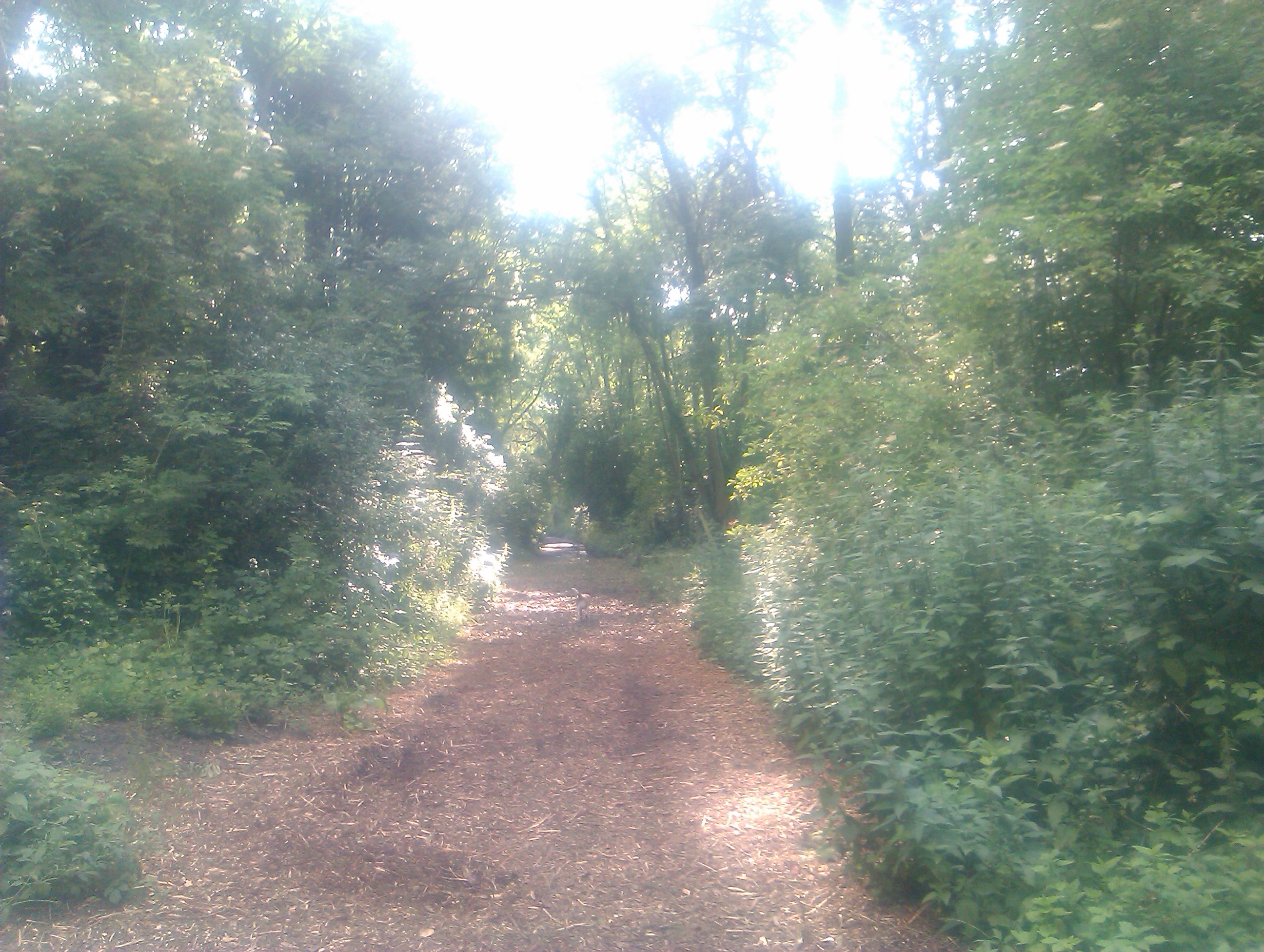 AbneyPath