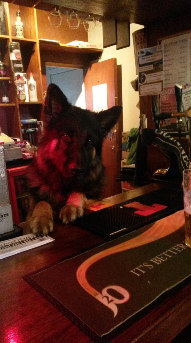 So underpopulated is the village that at the Farr Bay Inn a german shepherd sometimes serves behind the bar